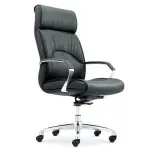 High Back Ergonomic  Boss Chair [FP-M-36-SS]
