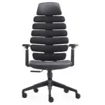 Diector Chair, Office Director Chair, Black Director Chair