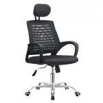 Manager Office Executive Chair With Headrest [FP-M-18-Black]