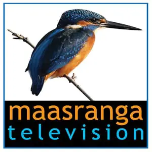 Brand Logo