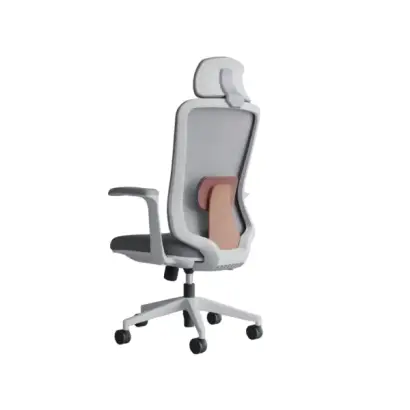 Ergonomic Chair Price in Bangladesh