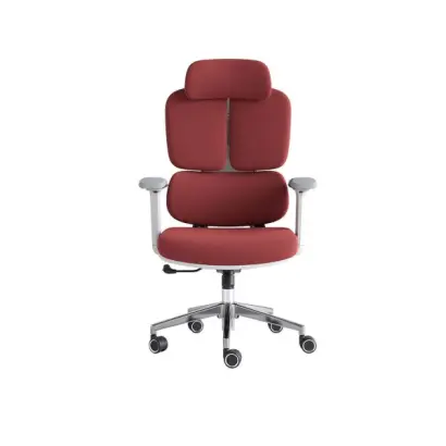 Director Chair Price in Bangladesh