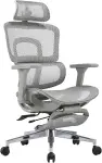 Ergonomic Chair