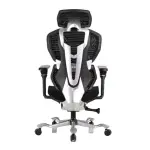 Ergonomic Chair [FP-M-140]