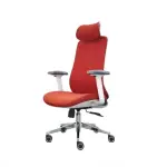 Ergonomic Chair [FP-M-145]