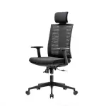 Ergonomic Chair [FP-M-107]