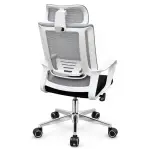 Manager Chair Price in Bangladesh
