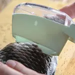 Fish Scale Remover With Cover | Scale Tools