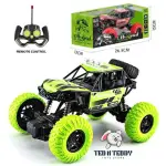 Remote Control Car Toy Stunt RC Off Road High Speed Kids Car Rechargeable Car