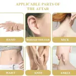 অ্যারোমা হ্যান্ডস পয়জন আতর (১৫ মিলি) দীর্ঘস্থায়ী, অ্যালকোহলমুক্ত, রোল অন, উপহারের জন্য সেরা, পুরুষ/মহিলাদের জন্য বিশেষ আতর।