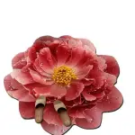 🌸 PREMIUM FLOWER FLOOR MAT 🌸 🏡 আপনার ঘরকে দিন Luxury & Elegant লুক!