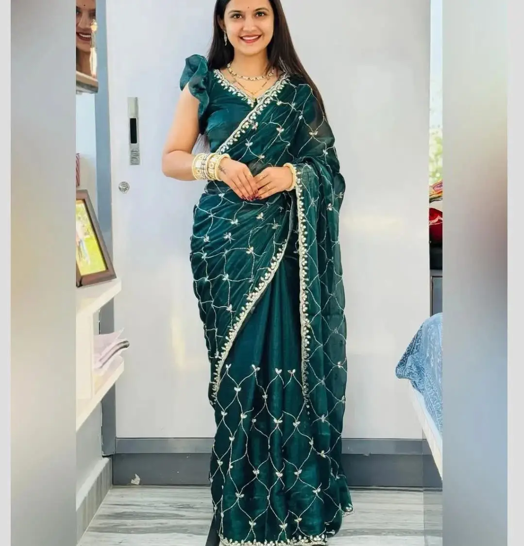 Jimmy Choo fabric saree