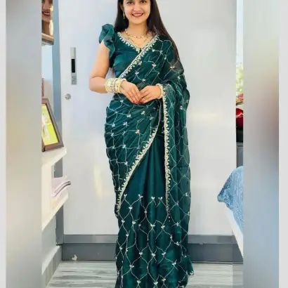 Jimmy Choo fabric saree