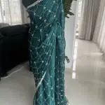 Jimmy Choo fabric saree