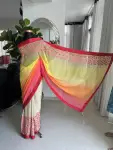 Multicolored georgette saree