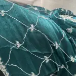 Jimmy Choo fabric saree