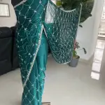 Jimmy Choo fabric saree