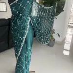 Jimmy Choo fabric saree