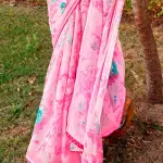 Chiffon weaving Zari saree