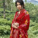 Fancy designer chiffon saree by LT fabrics