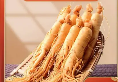 Ginseng Gold ( প্রতিমূলের ওজন ২০ গ্রাম )