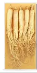 Ginseng Gold ( প্রতিমূলের ওজন ২০ গ্রাম )