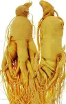 Ginseng Gold ( প্রতিমূলের ওজন ২০ গ্রাম )