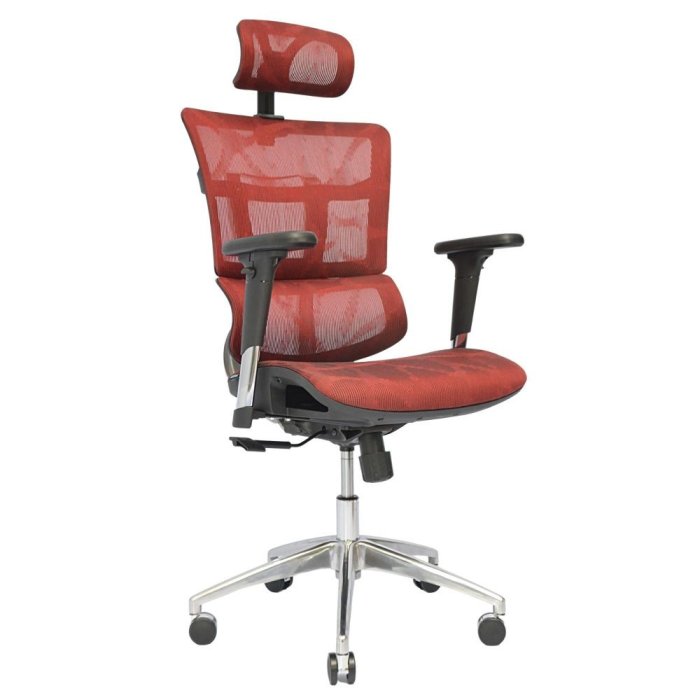Complete Multifunction Chair (FT-HC03) Garnet Red