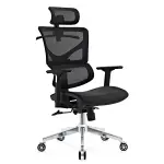Ergonomic Hydraulic Office Chair (FT-H311)