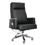 Comfortable Luxury Boss Chair (FT-H808) Black