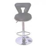 Bar Stool (FT-BS318)